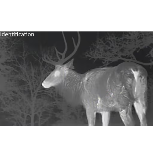 NightRide Trailblazer Grille Mountable w/Ethernet - Image 6