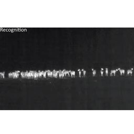 NightRide Trailblazer Grille Mountable w/Ethernet - Image 5